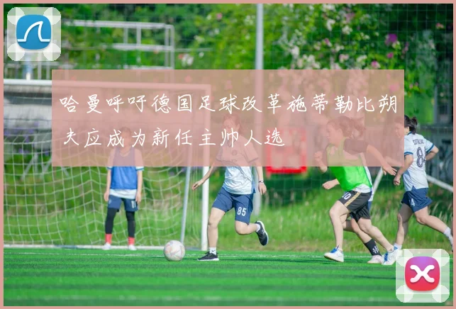 哈曼呼吁德国足球改革施蒂勒比朔夫应成为新任主帅人选