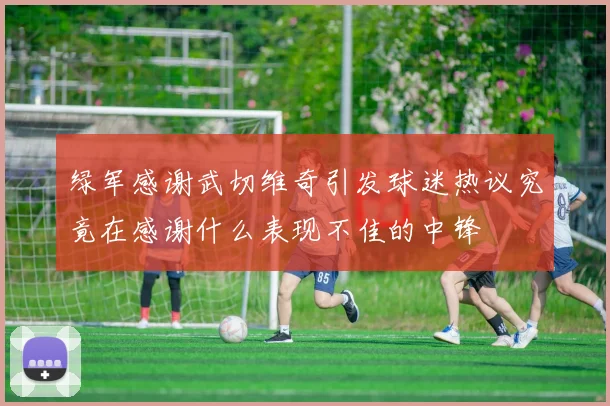 绿军感谢武切维奇引发球迷热议究竟在感谢什么表现不佳的中锋